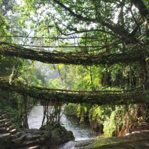 Meghalaya