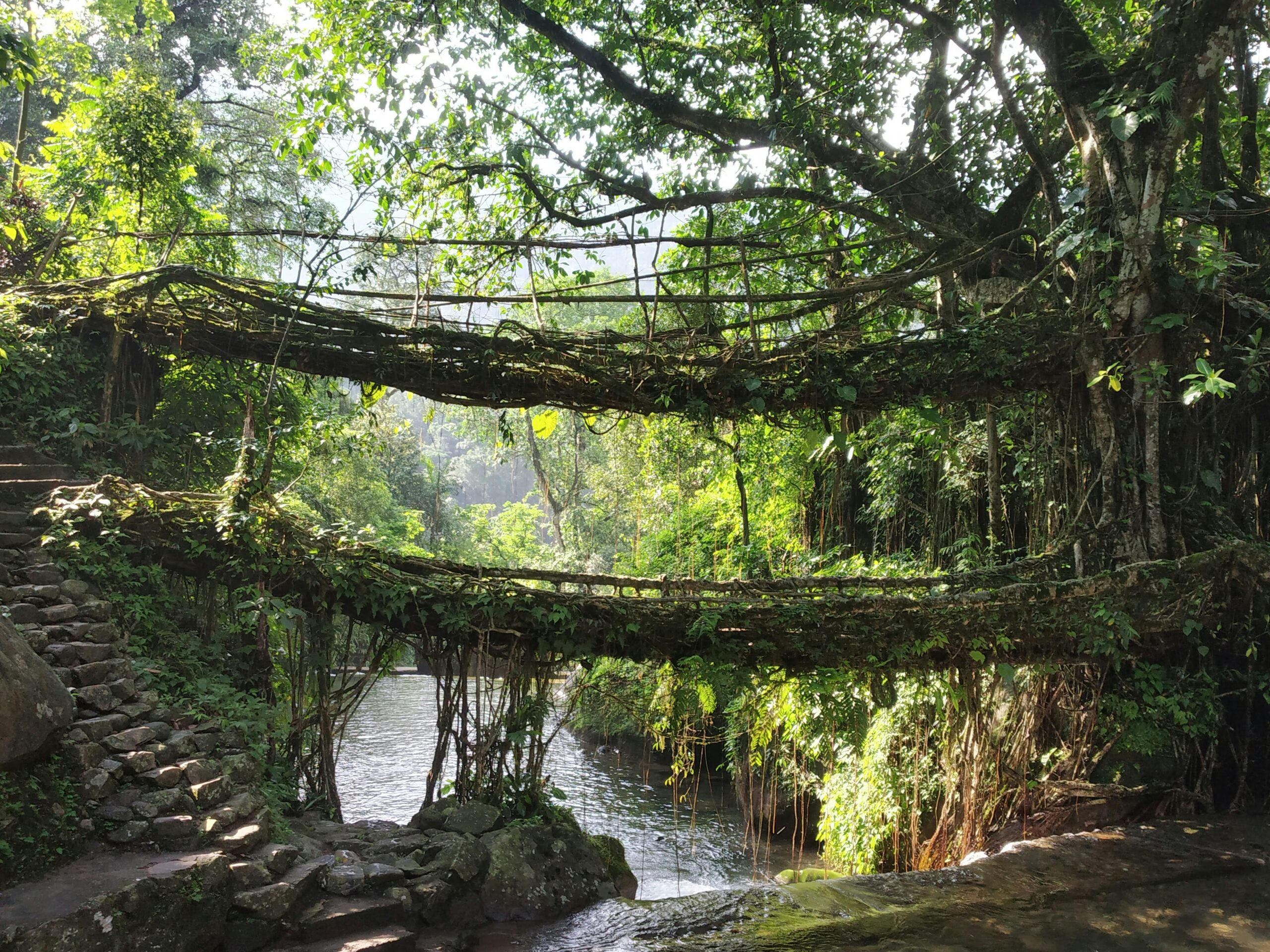 Meghalaya